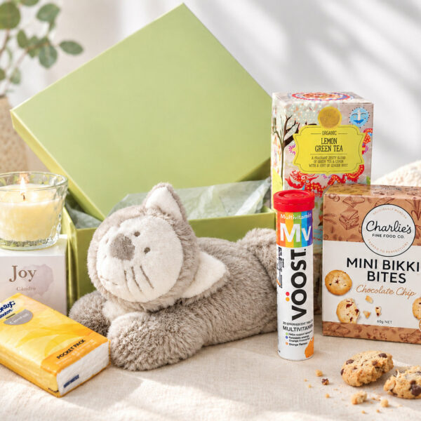 Purrfect Boost get well hamper featuring a cuddly grey cat heat pack, multivitamins, herbal tea, biscuits, candle and tissues, arranged beside a pistachio green gift box.